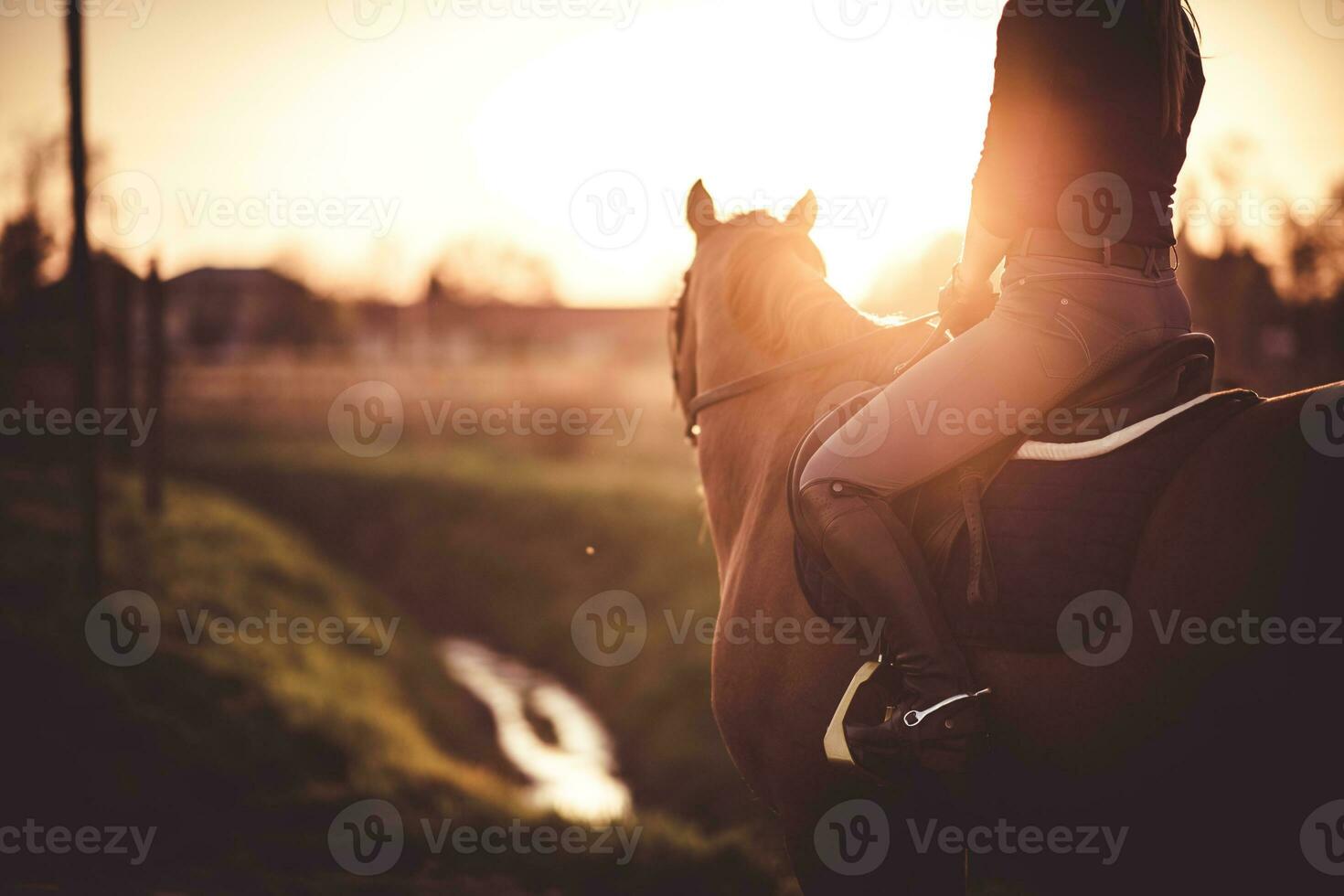 paard rijder Bij zonsondergang. ruiter thema. foto