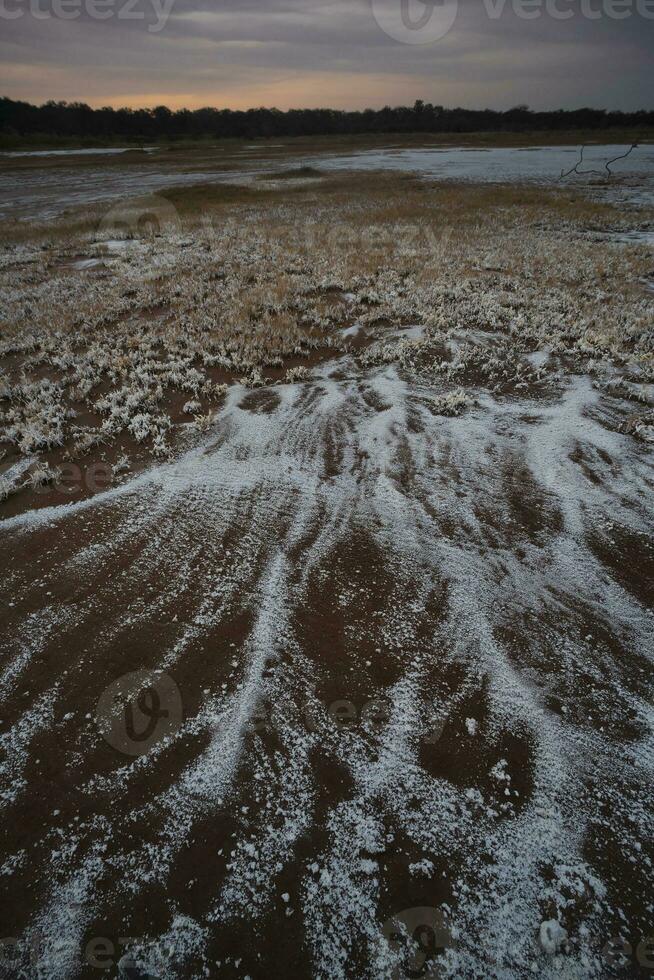 salpeter Aan de verdieping van een lagune in een semi woestijn omgeving, la pampa provincie, Patagonië, Argentinië. foto