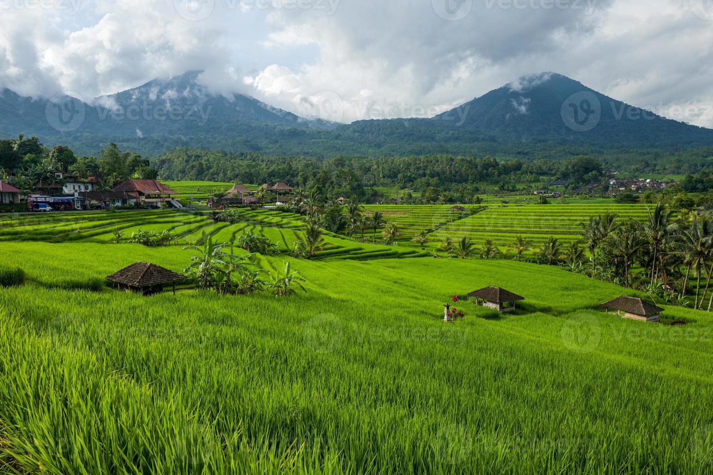 de tegallalang rijstterrassen in Bali in Indonesië in foto