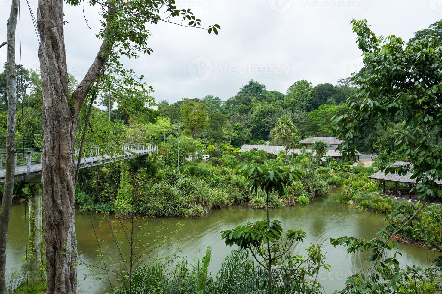 de botanische tuin in singapore foto