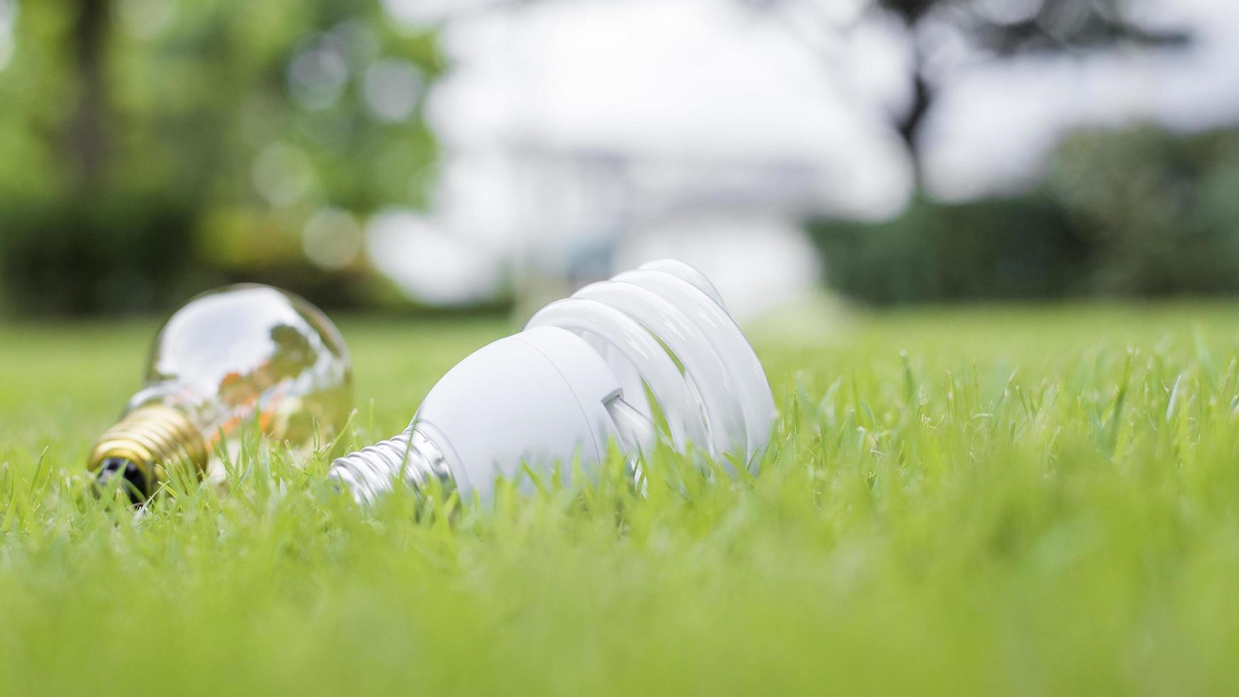 gloeilamp in groen gras, red het aardeconcept foto