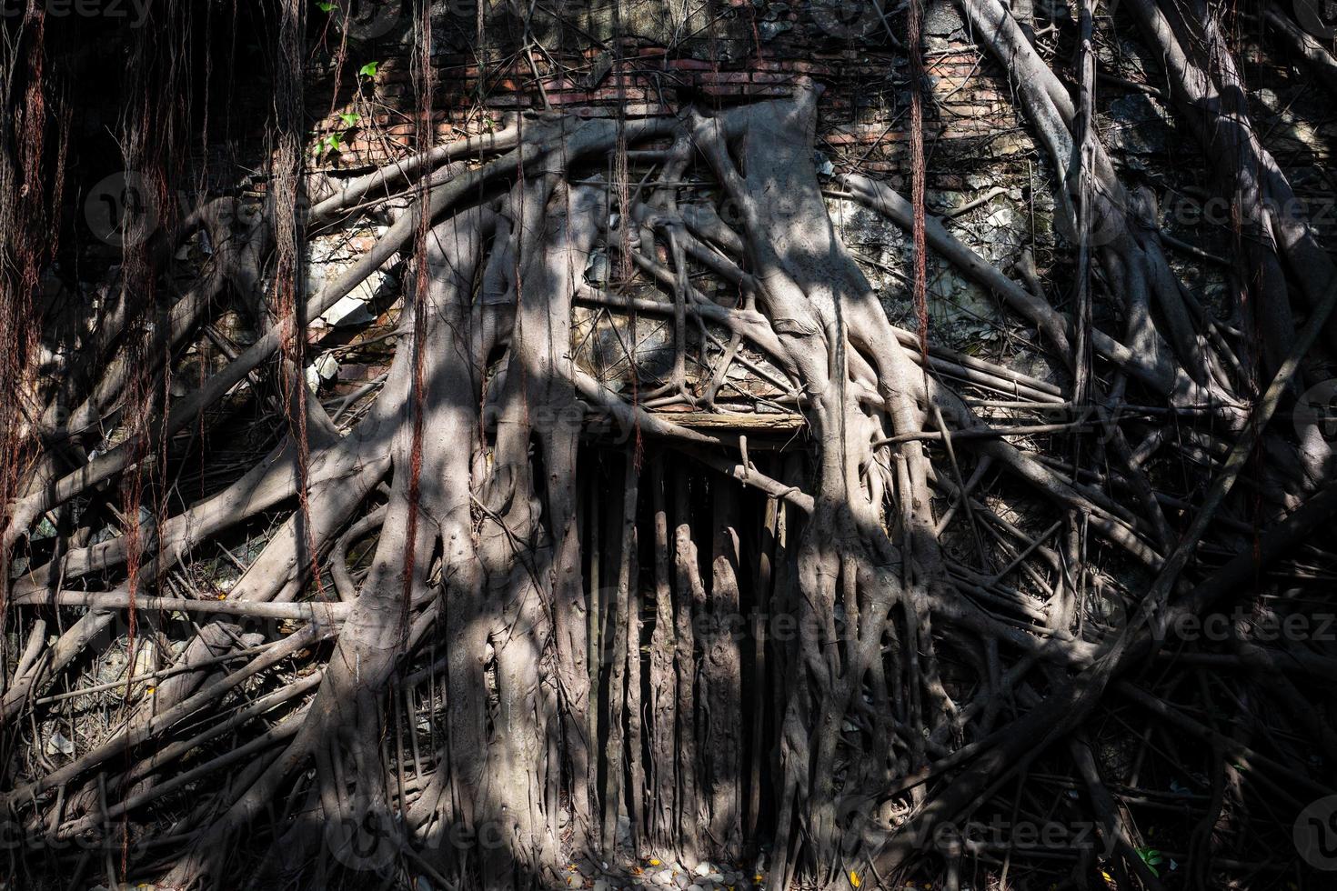 de anping boomhut in tainan in taiwan foto