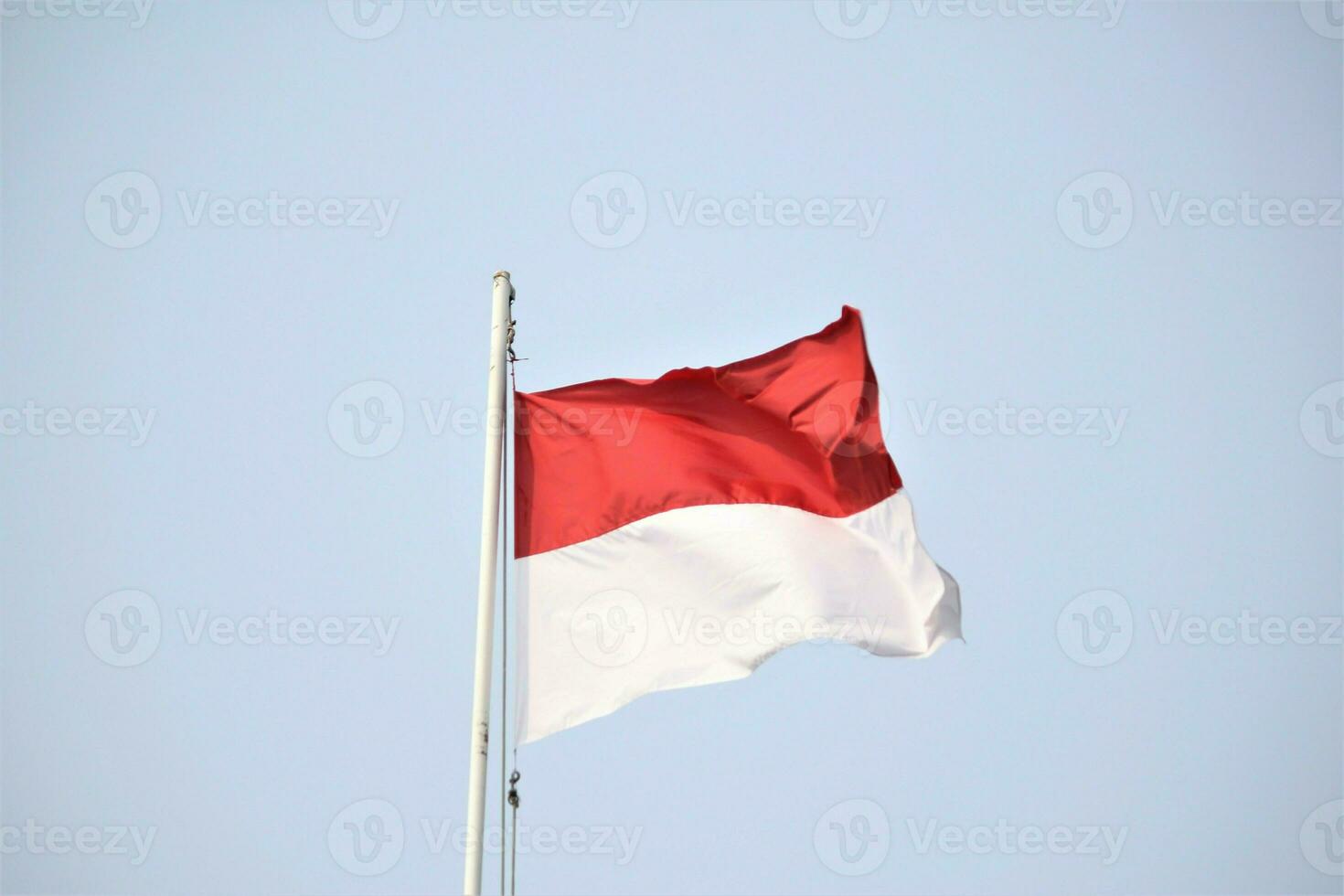 Indonesisch vlag rood en wit foto