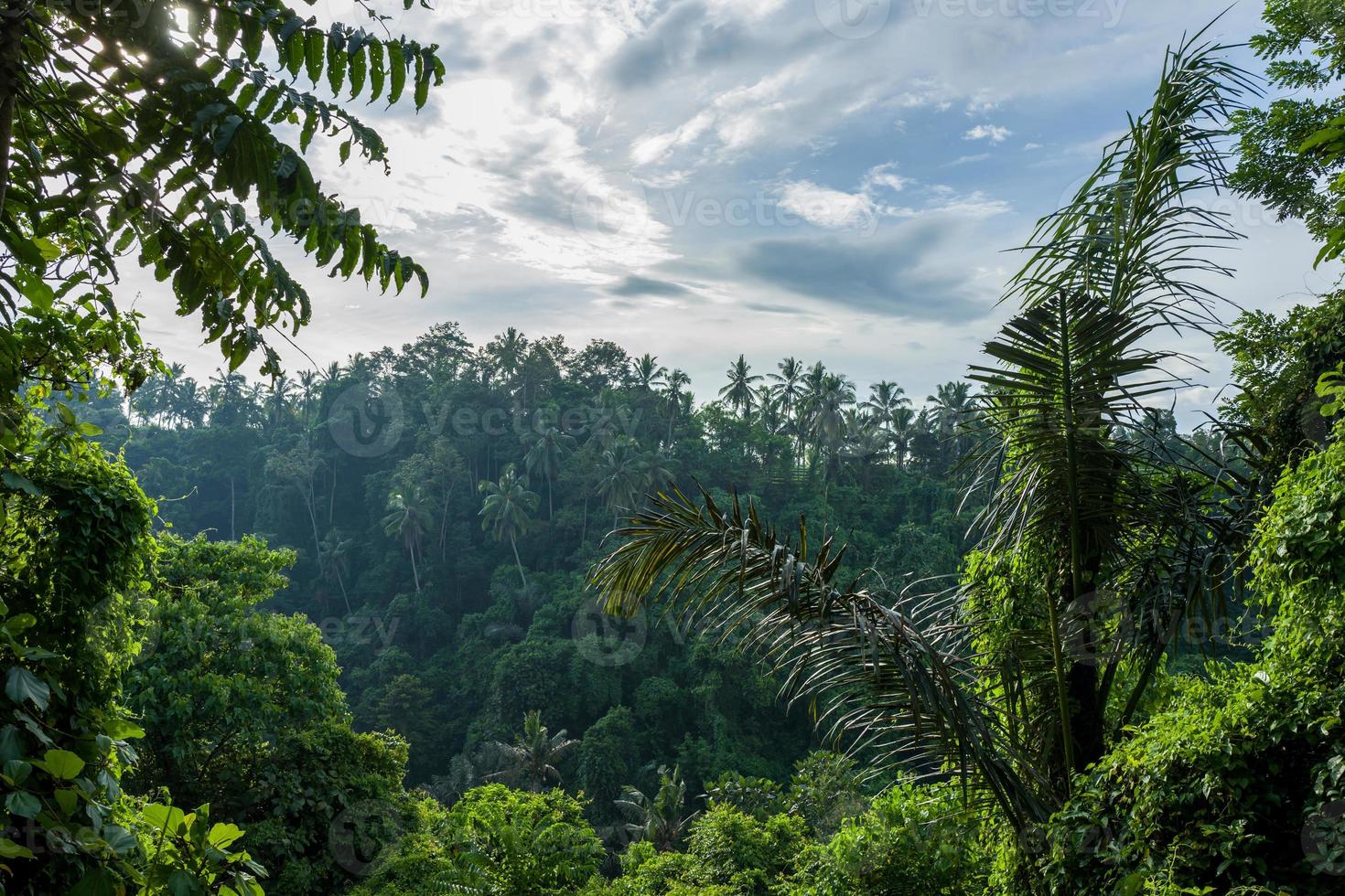 de campuhan-kamwandeling in ubud in bali foto