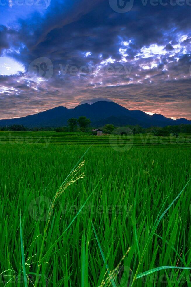 mooi ochtend- visie Indonesië panorama landschap rijstveld velden met schoonheid kleur en lucht natuurlijk licht foto