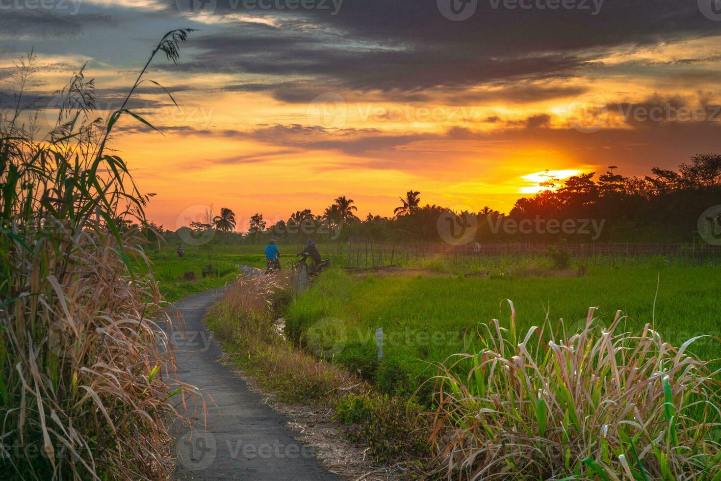 mooi ochtend- visie Indonesië panorama landschap rijstveld velden met schoonheid kleur en lucht natuurlijk licht foto