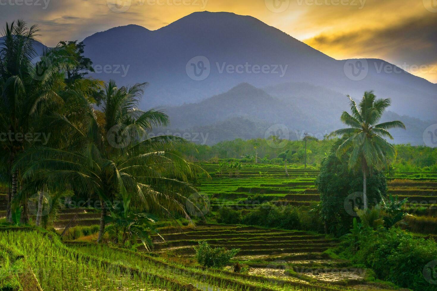 mooi ochtend- visie Indonesië panorama landschap rijstveld velden met schoonheid kleur en lucht natuurlijk licht foto