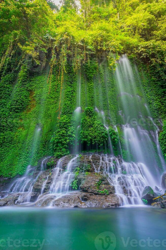 mooi ochtend- visie Indonesië. panorama landschap rijstveld velden met schoonheid kleur en lucht natuurlijk licht foto