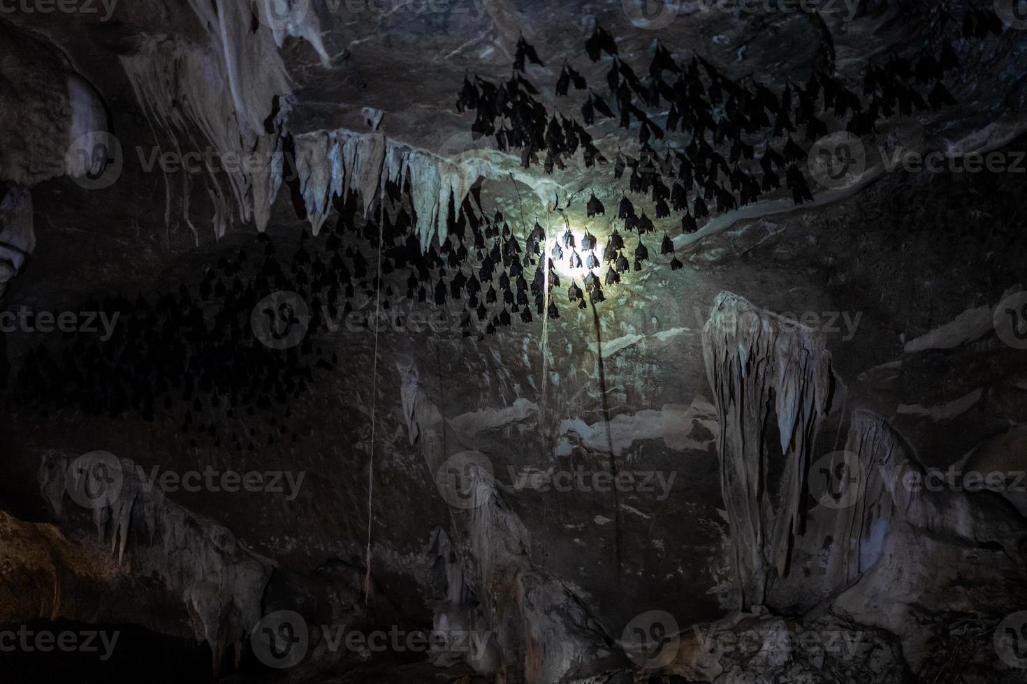 een batcave in het kilim karst geoforest park in langkawi in maleisië foto