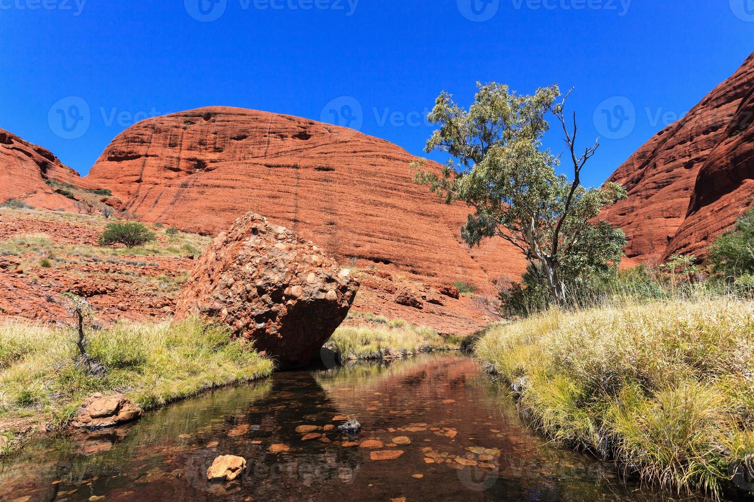 kata tjuta park noordelijk gebied australië foto