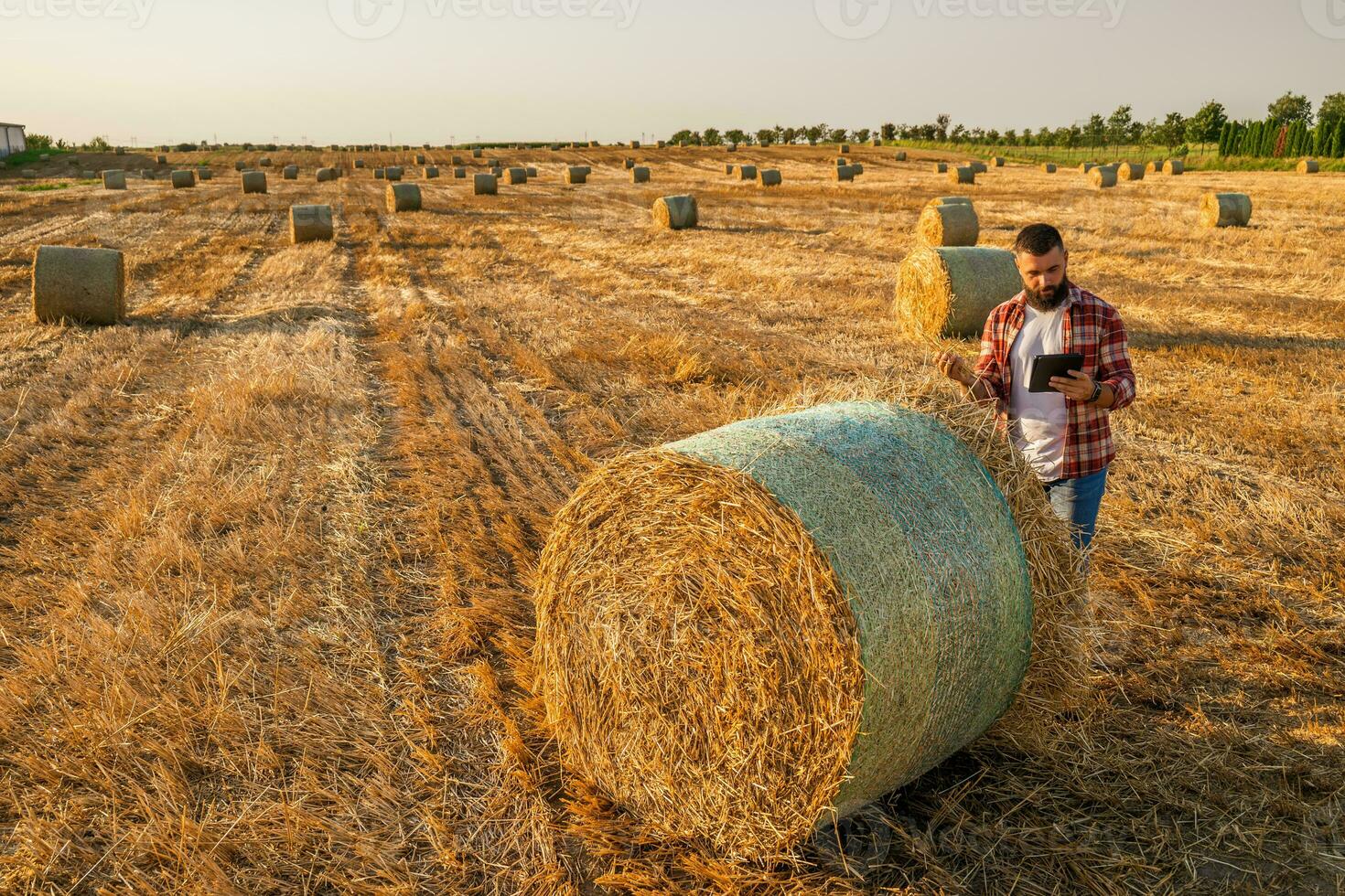 boer is staand naast balen van hooi. hij is onderzoeken rietje na geslaagd oogsten. foto