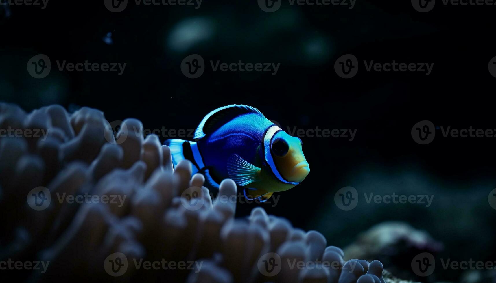 clown vis in symbiotisch verhouding met koraal gegenereerd door ai foto