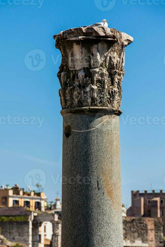 ruïnes van de forum van Caesar gebouwd door Julius Caesar in de buurt de forum romanum in Rome in 46 bc foto