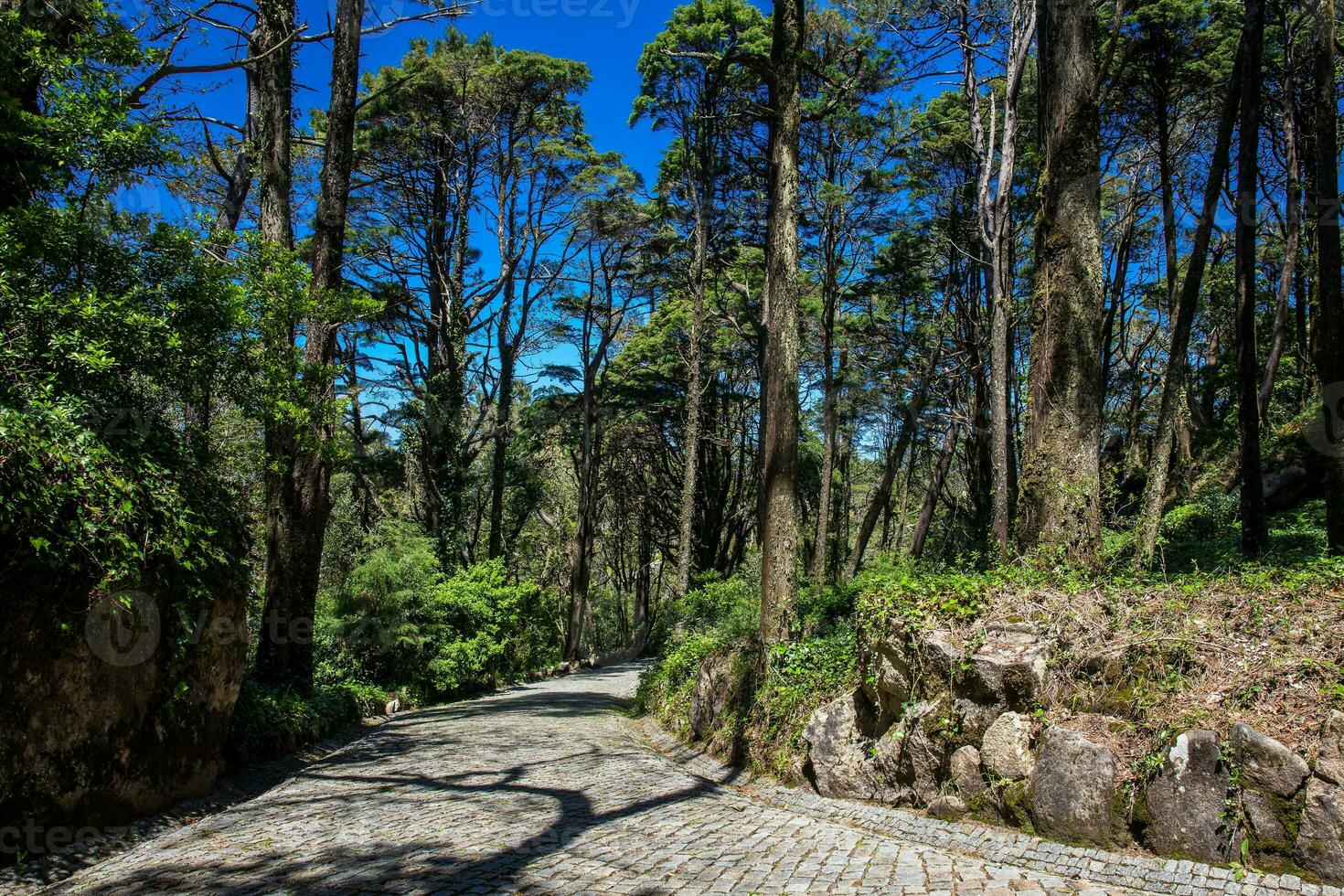 tuinen van Pena park Bij de gemeente van sintra foto