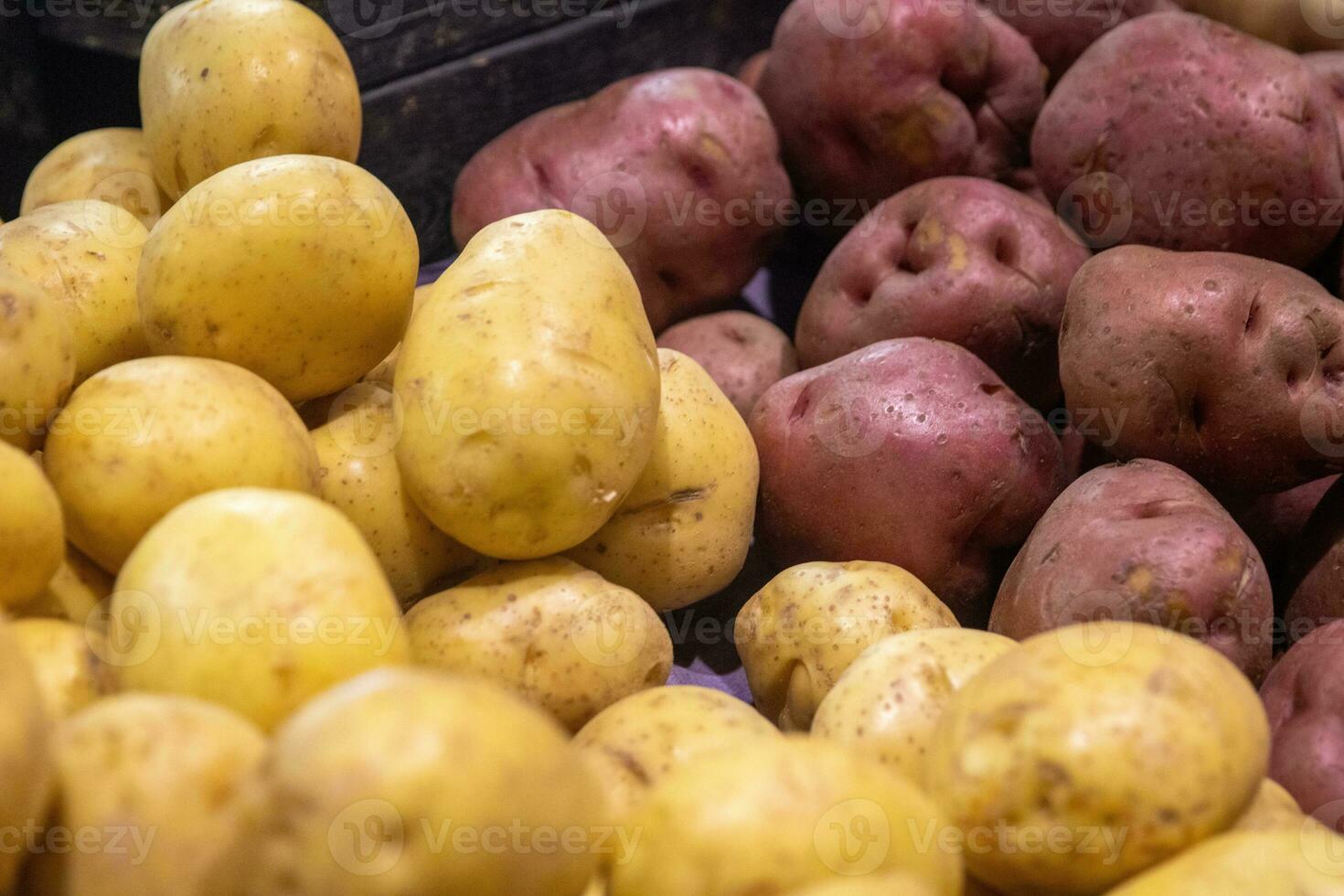 yukon goud en rood aardappelen foto