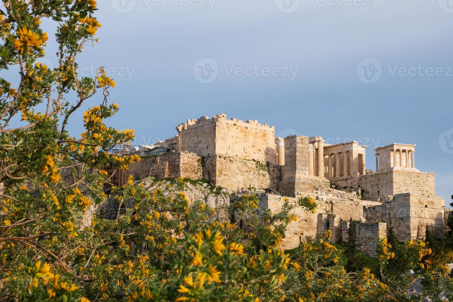 bloeiende boom onscherp tegen parthenon in focus in Athene, griekenland foto