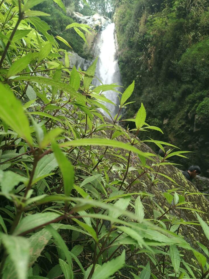schoonheid waterval in Indonesië foto