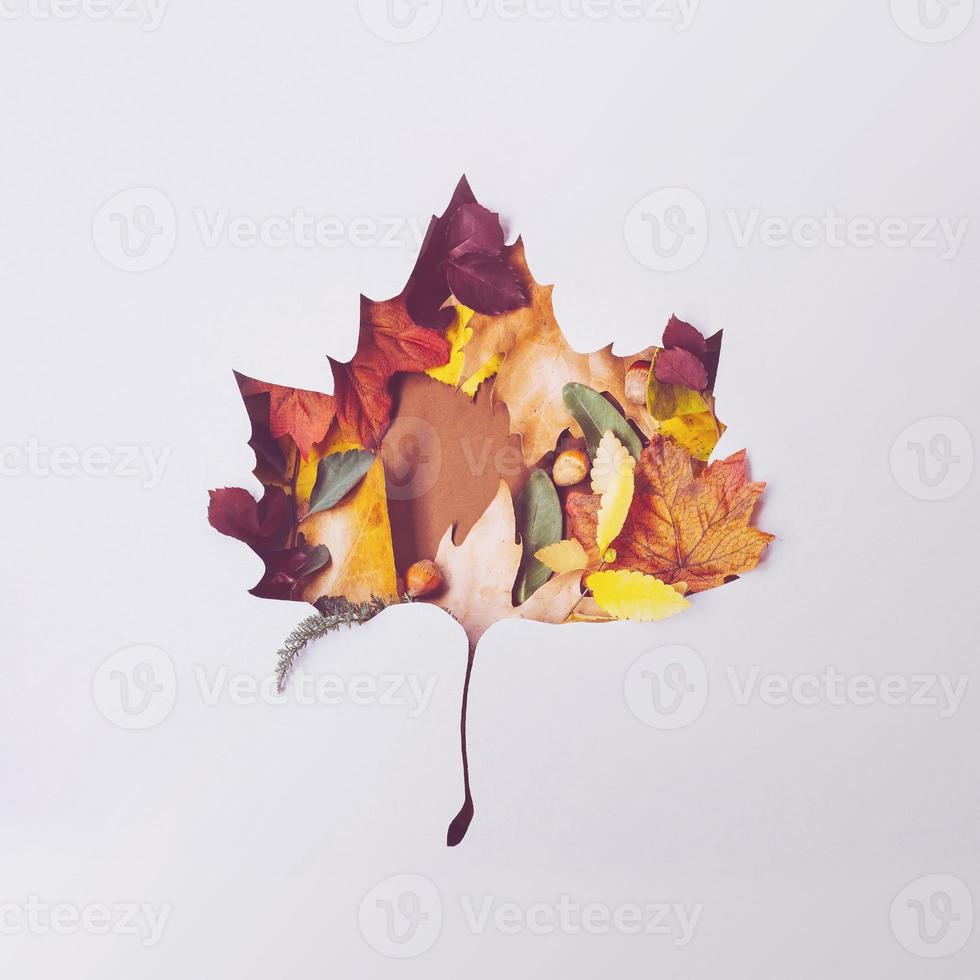 creatieve herfstlay-out gemaakt van gevallen bladeren in de vorm van een blad foto