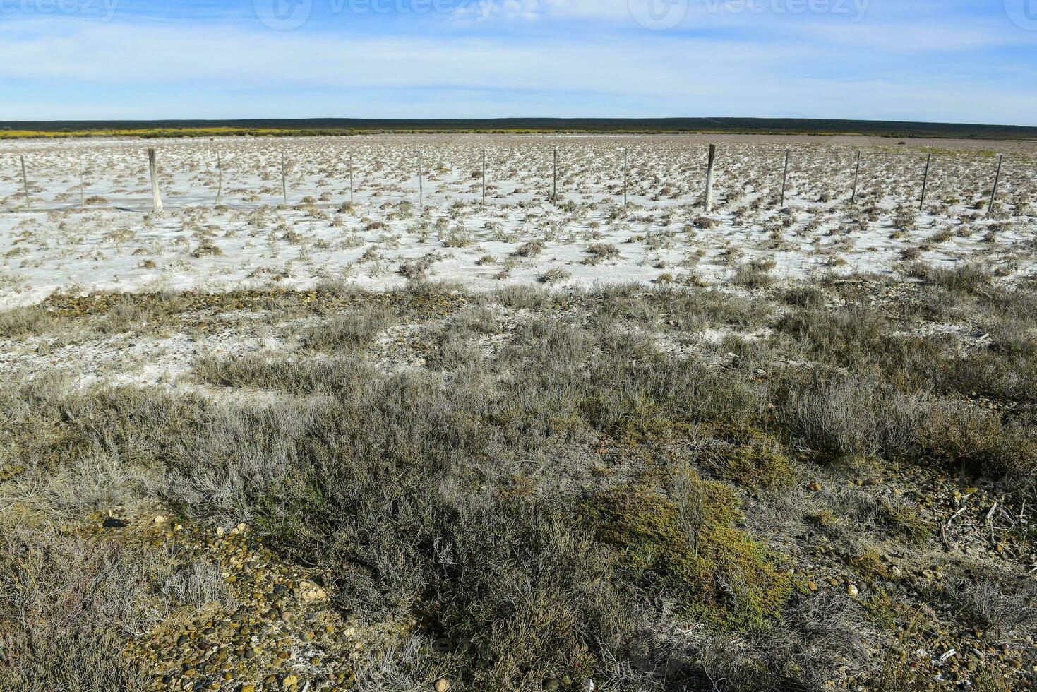 zout bodem in een droog lagune, in de zuiden van de provincie van la pampa, Patagonië, Argentinië. foto