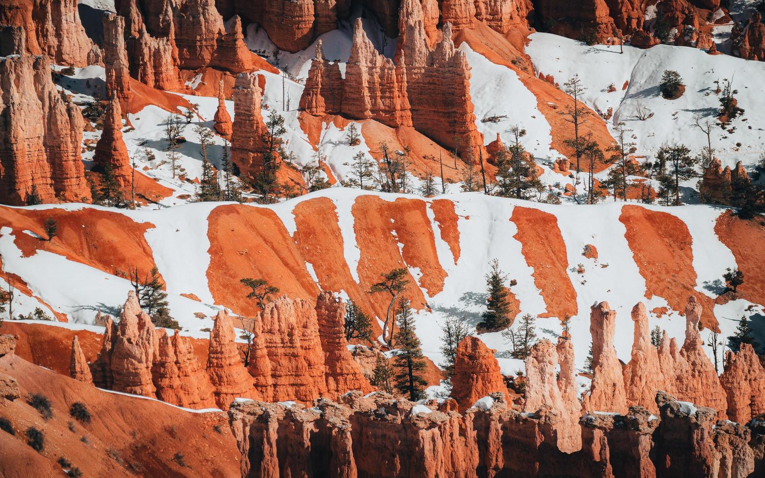 Bryce Canyon National Park in de winter in Utah, VS foto
