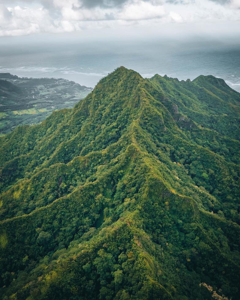 uitzicht op de tropische natuur vanaf een wandelpad in oahu, hawaï foto