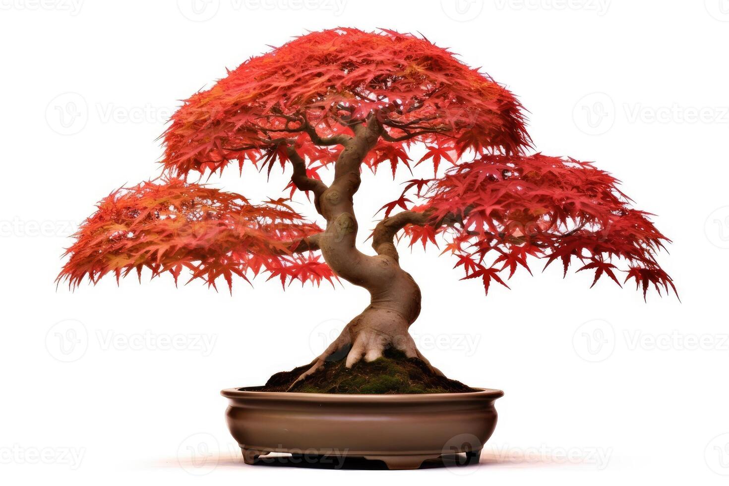 Japans esdoorn- bonsai boom. generatief ai foto