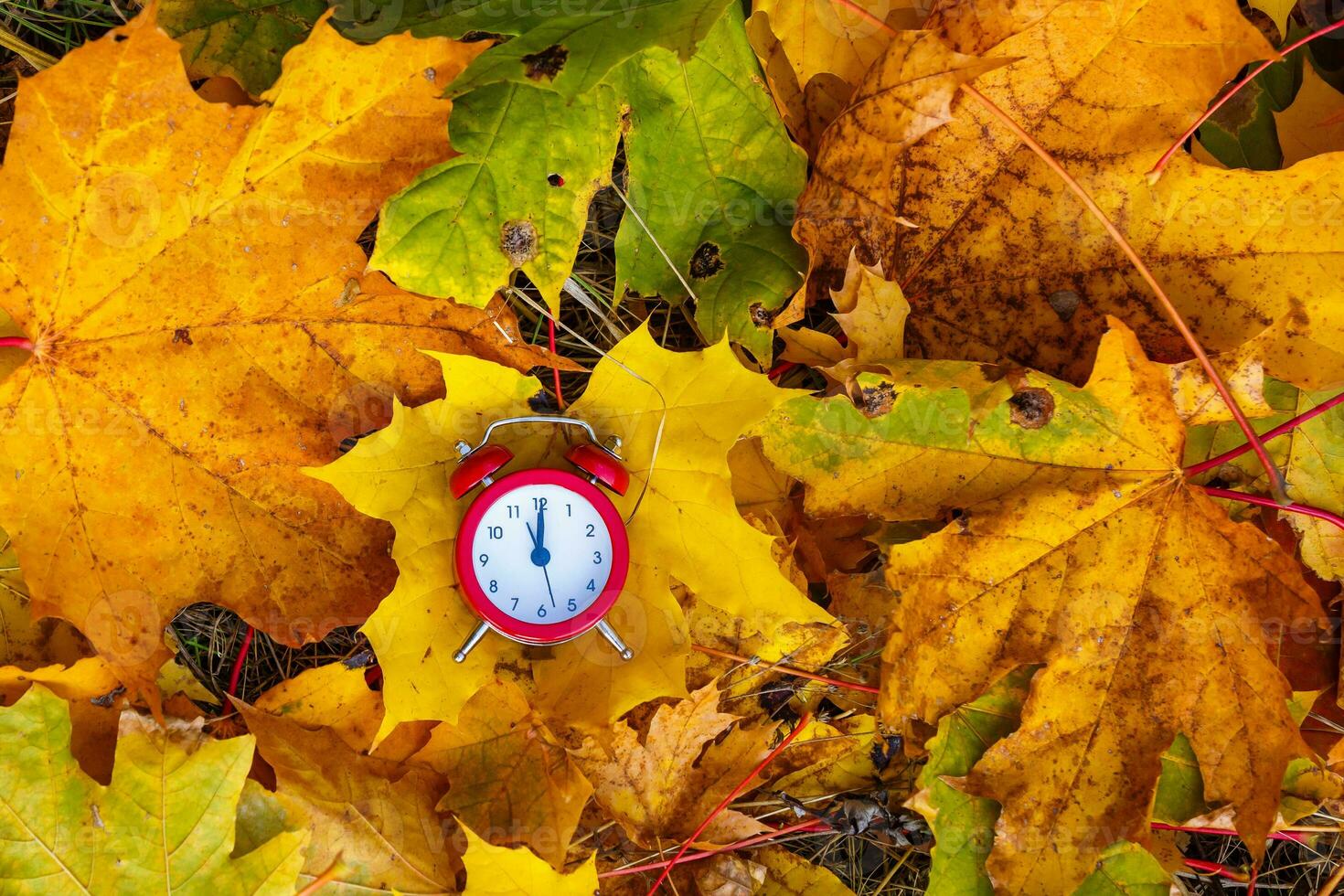 horloges en herfst bladeren, uren van herfst foto