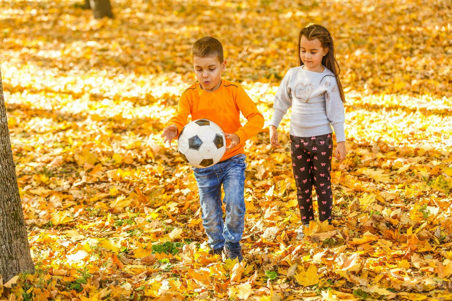 van weinig jongen met een bal spelen voetballend in de herfst park foto