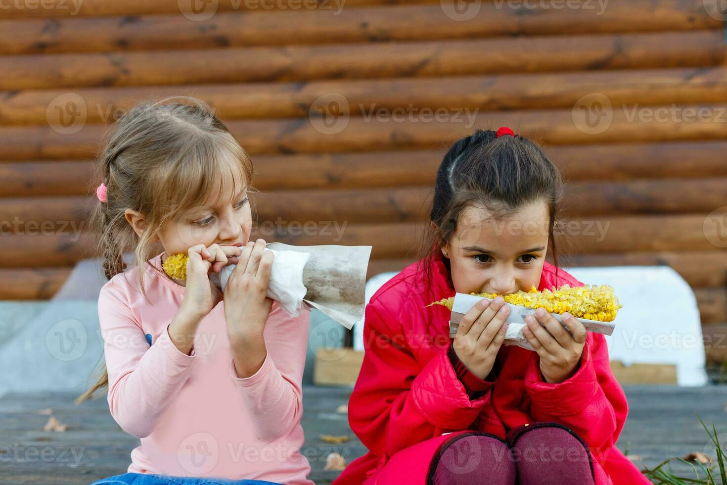 twee weinig meisje oogsten en aan het eten maïs in maïs veld. landbouw concept. foto