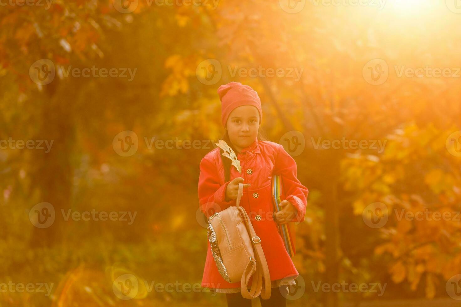 portret van een schattig weinig meisje poseren Bij de herfst park. foto