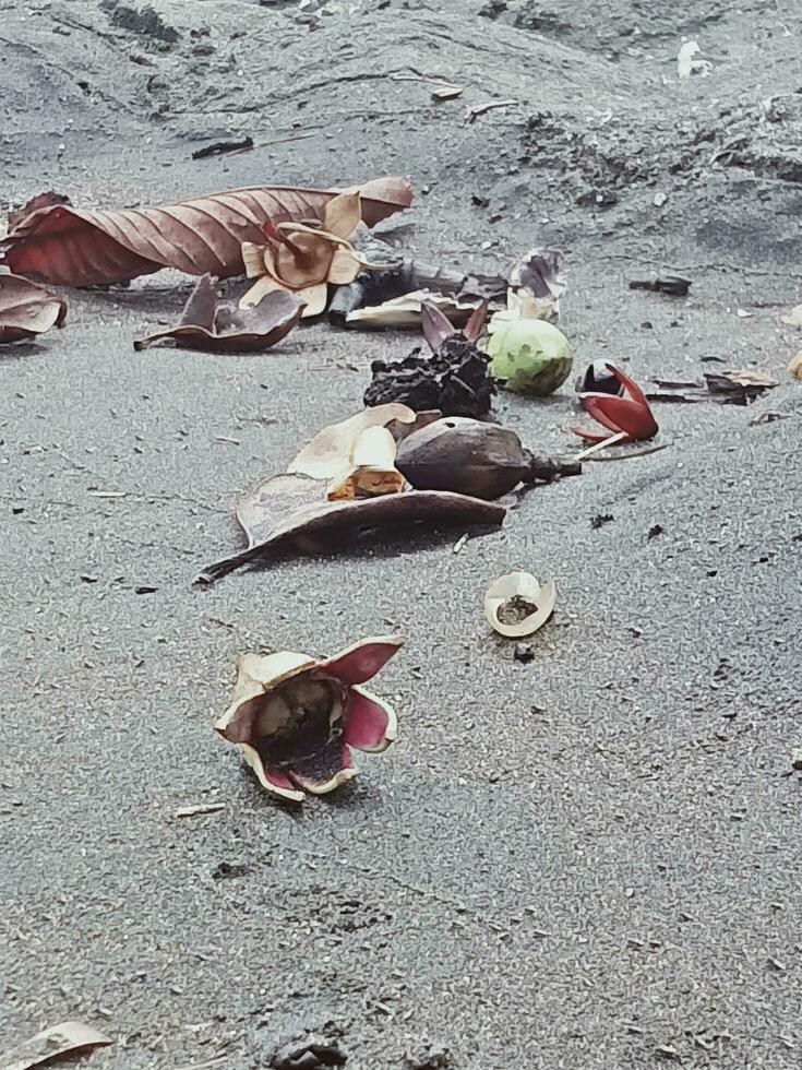 allemaal dingen in de zand foto