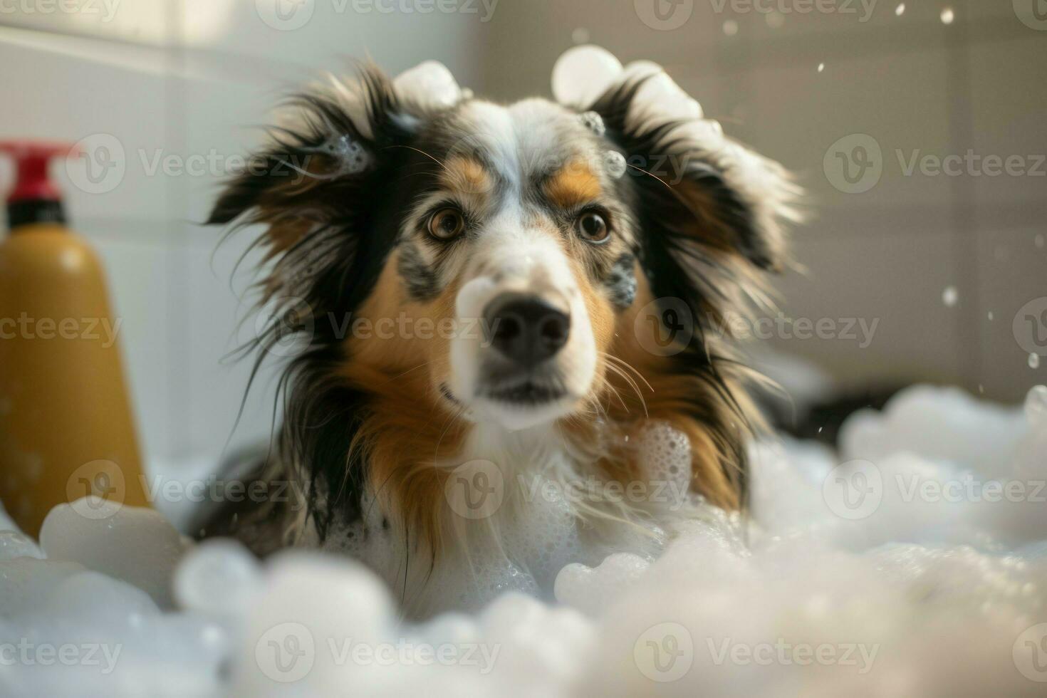 hond schuim wassen zorg. genereren ai foto