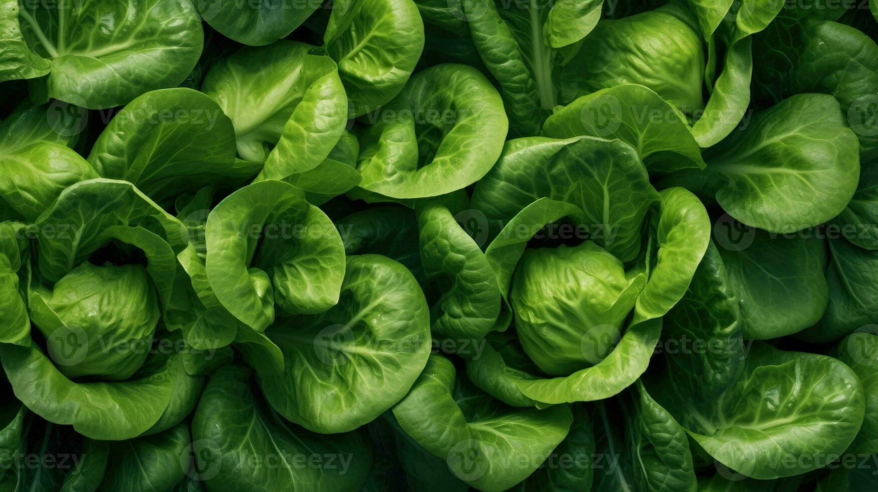 bok choy groente achtergrond ai gegenereerd foto