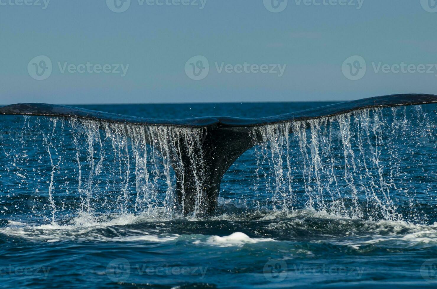 groot walvis jumping in de water foto