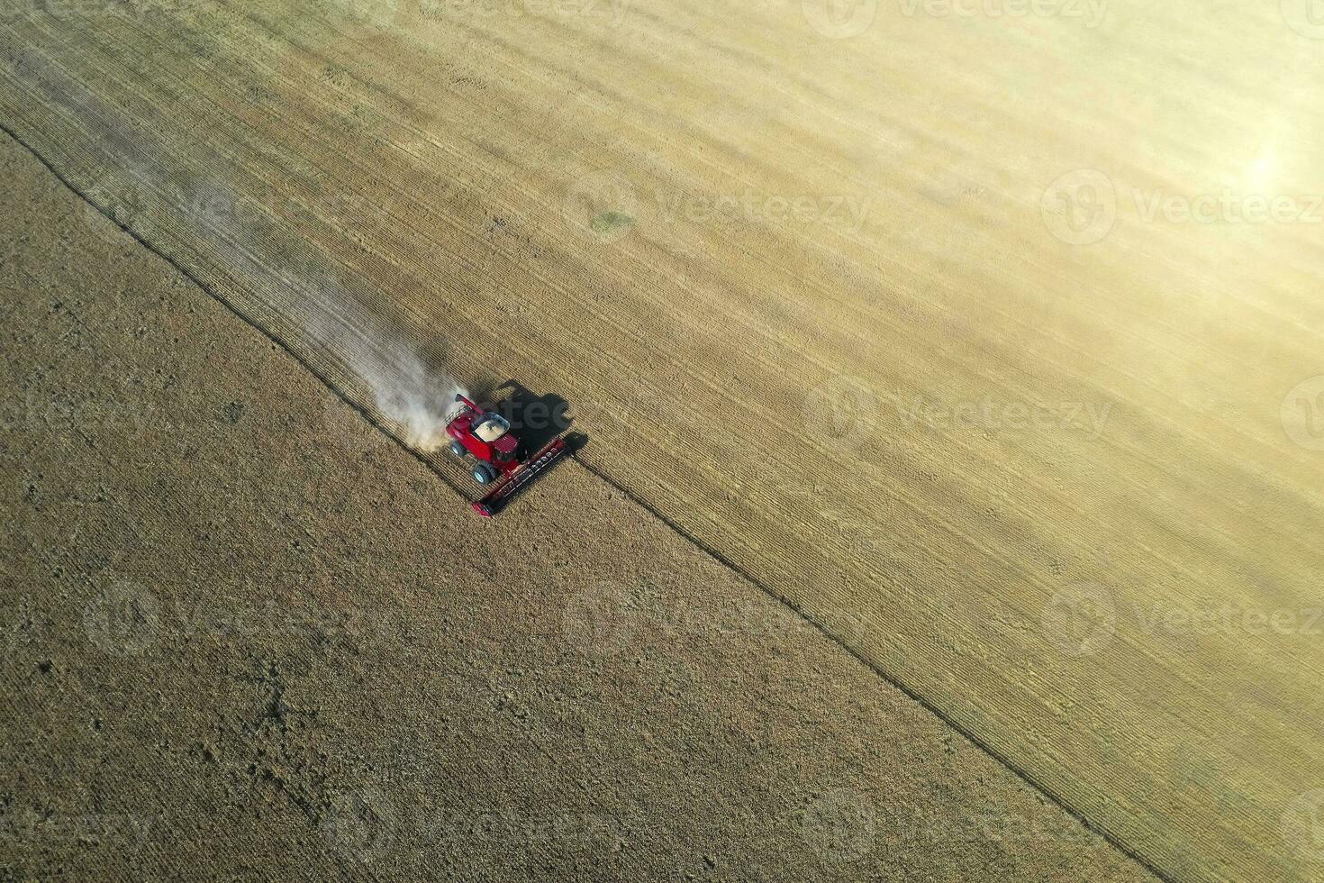 tarwe oogst in de Argentijns platteland, la pampa provincie, Patagonië, Argentinië. foto