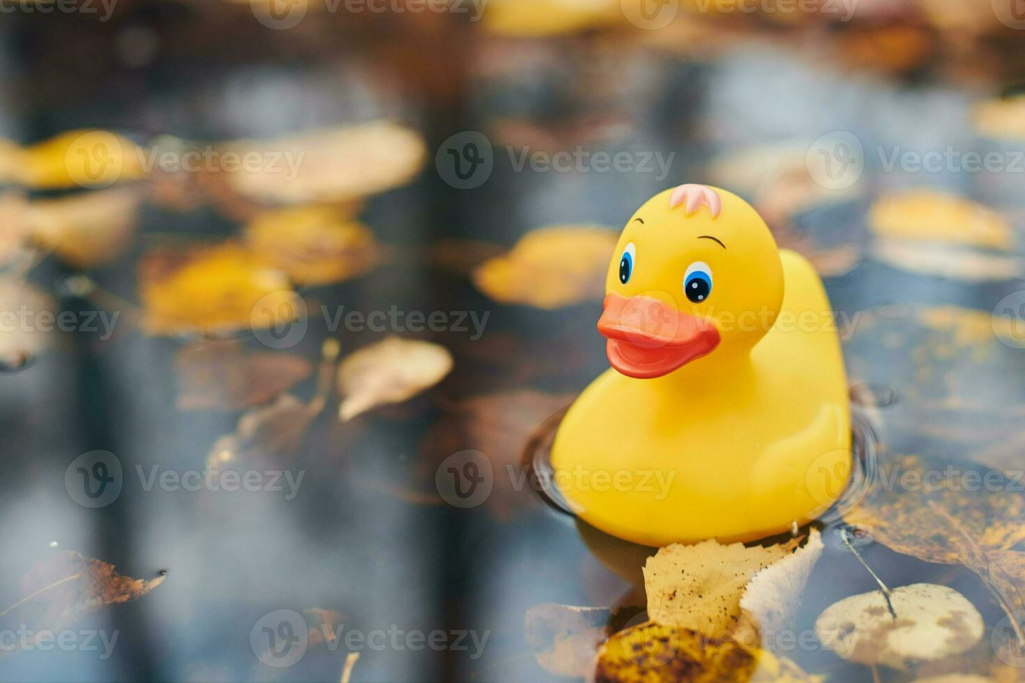 herfst eend speelgoed in plas met bladeren foto