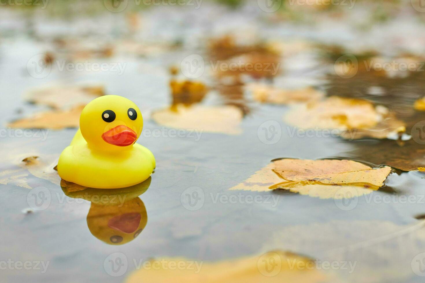 eend speelgoed- in herfst plas met bladeren foto