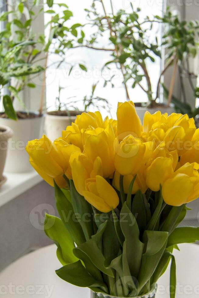 een boeket van vers geel tulpen. een boeket van tulpen Aan de tafel in voorkant van de venster met planten. voorjaar bloemen in de interieur. de concept van voorjaar of vakantie, maart 8, Internationale foto