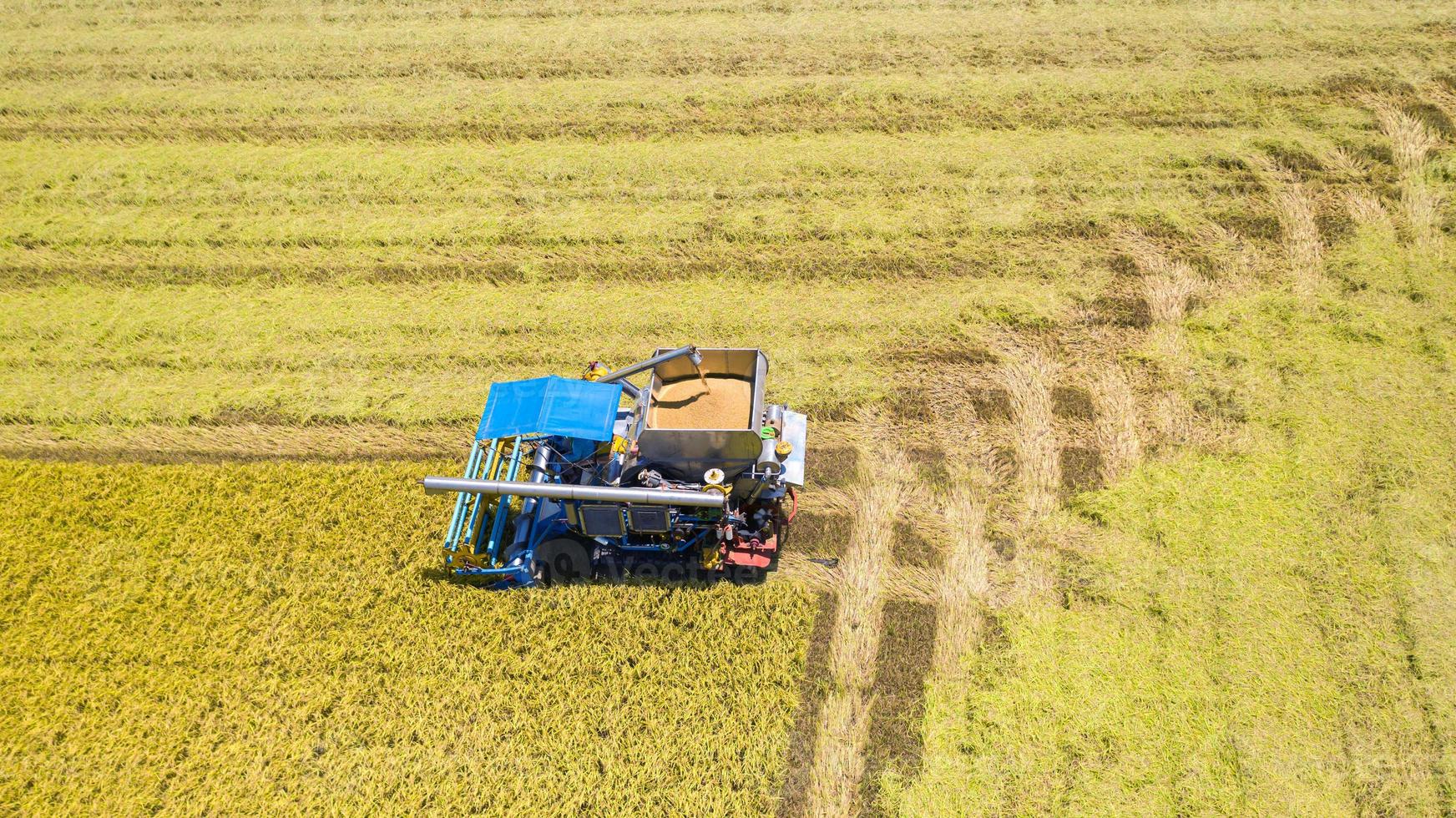 bovenaanzicht vanuit de lucht van een oogstmachine die van bovenaf in het rijstveld werkt foto