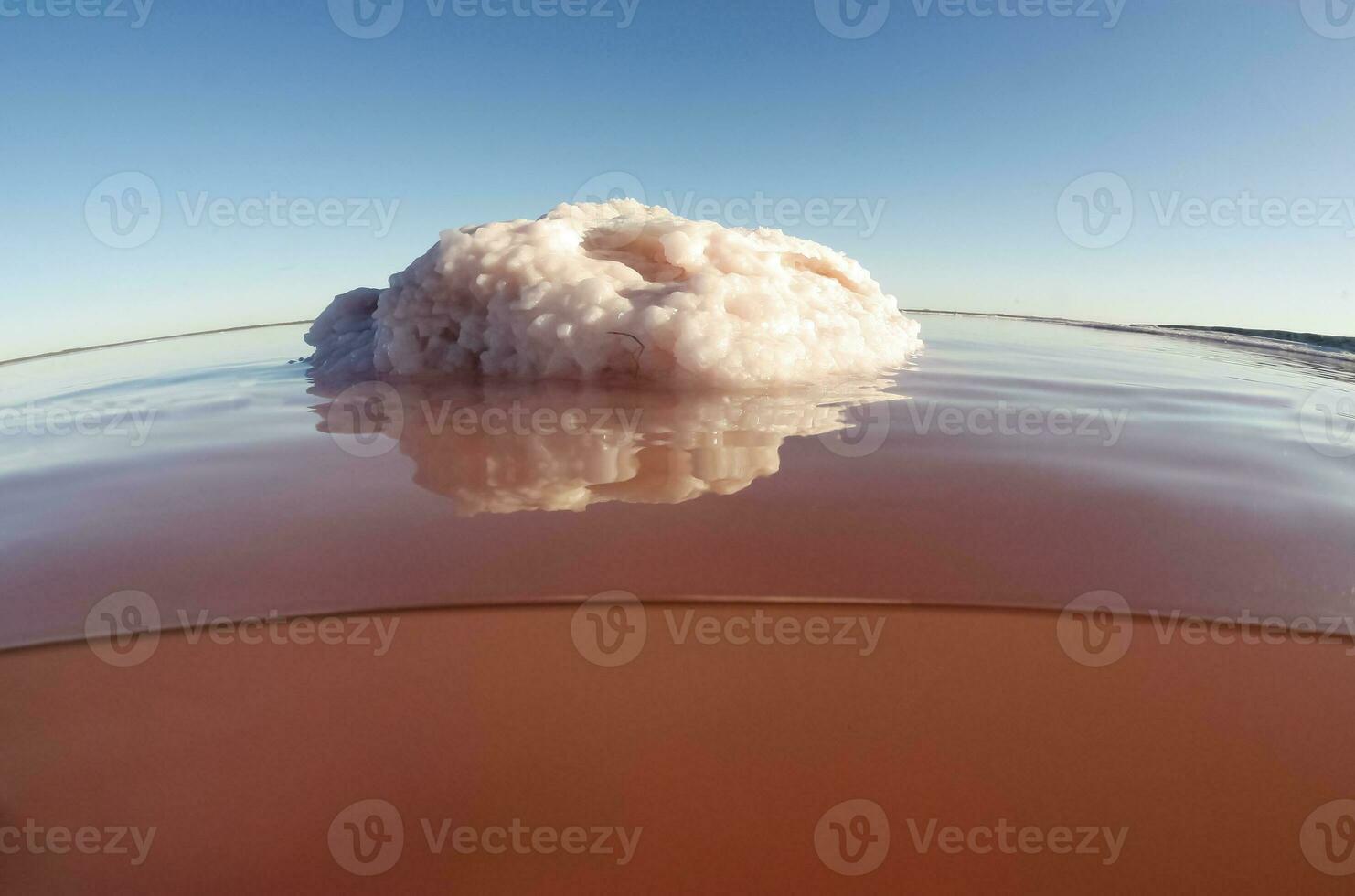 een roze klodder drijvend in de water foto