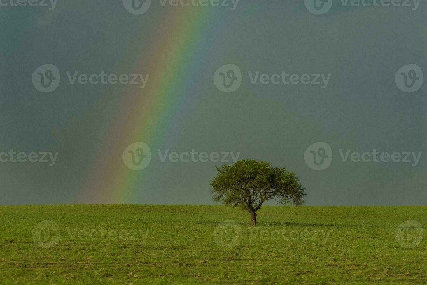 een regenboog in de lucht foto