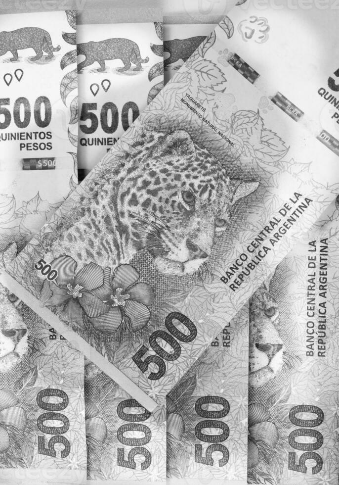 een stapel van geld is getoond in zwart en wit foto