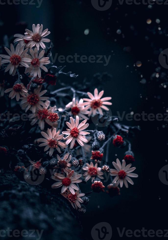 romantische gele bloem in de lente foto