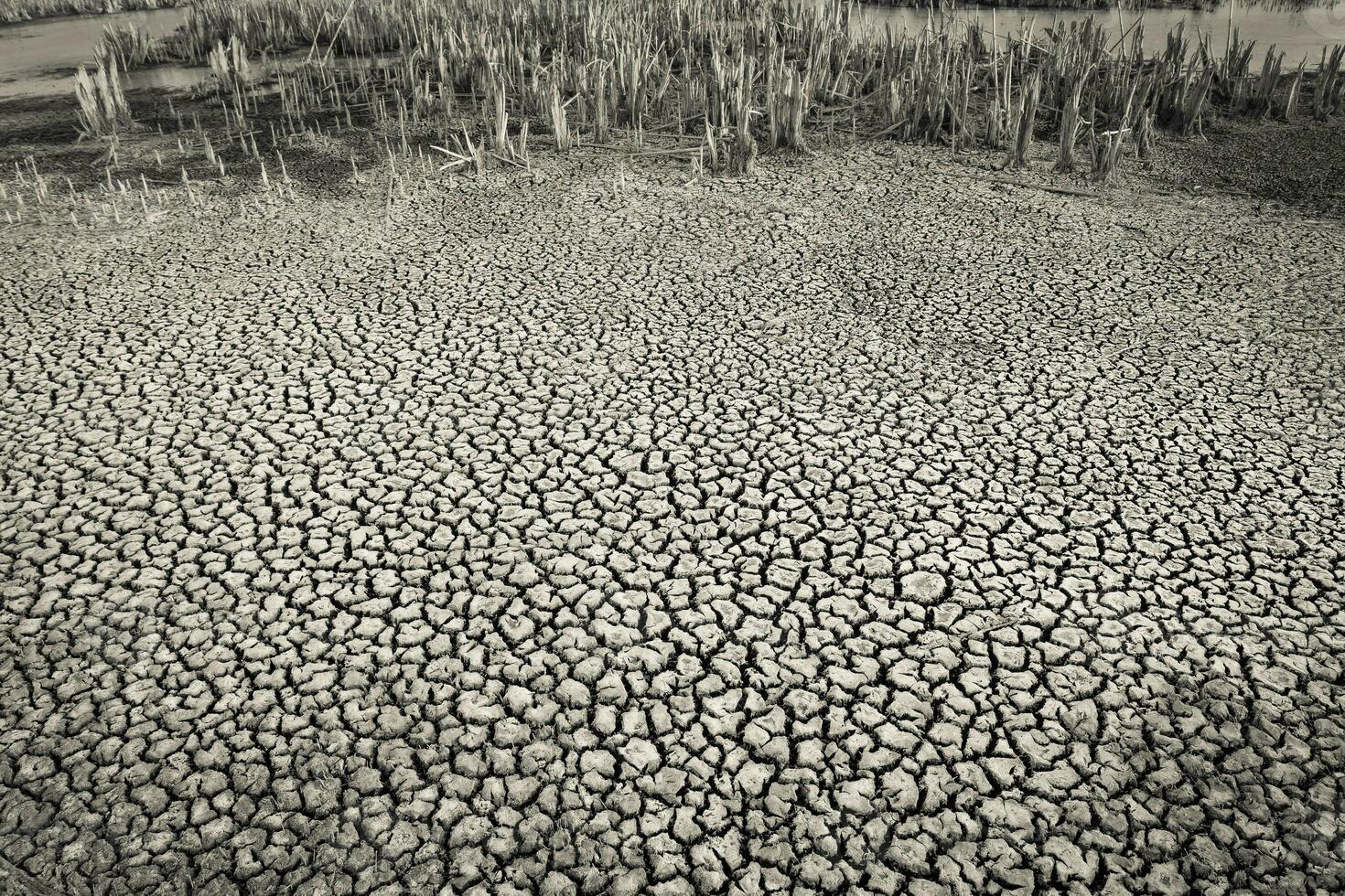 zwart en wit foto van modder scheuren