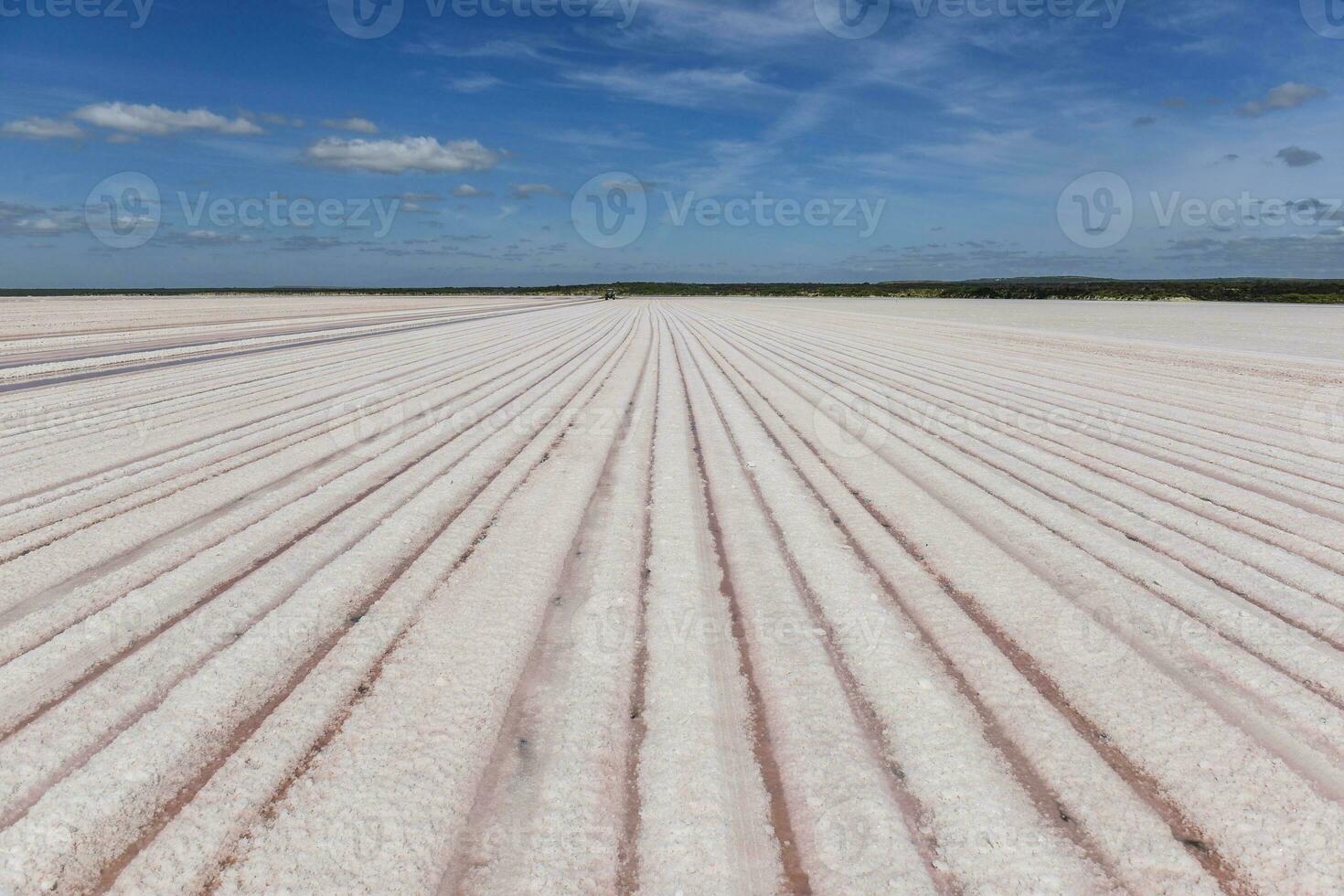 zout veld- in dunaliella zoutoplossing, Argentinië foto