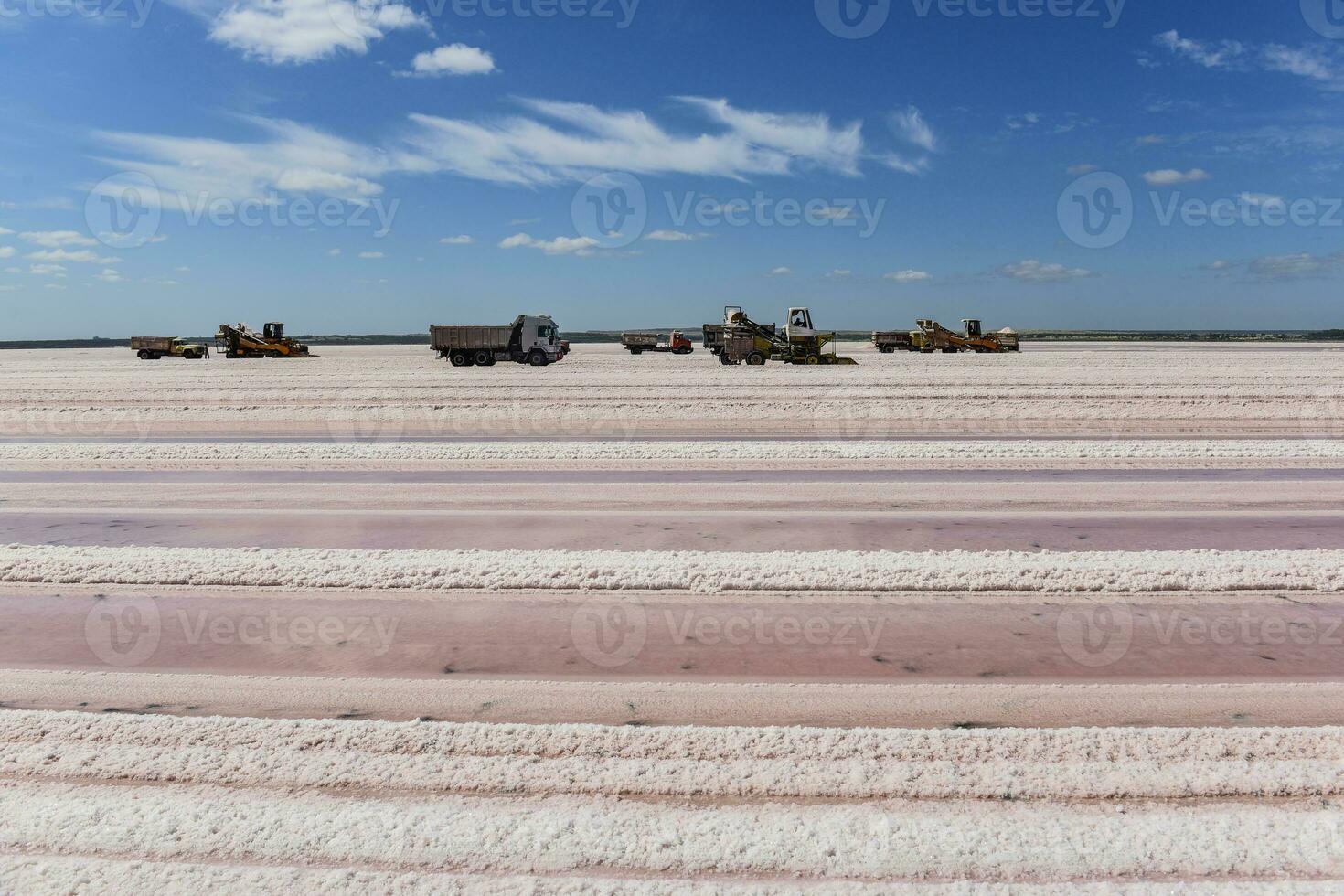 zout veld- in dunaliella zoutoplossing, Argentinië foto