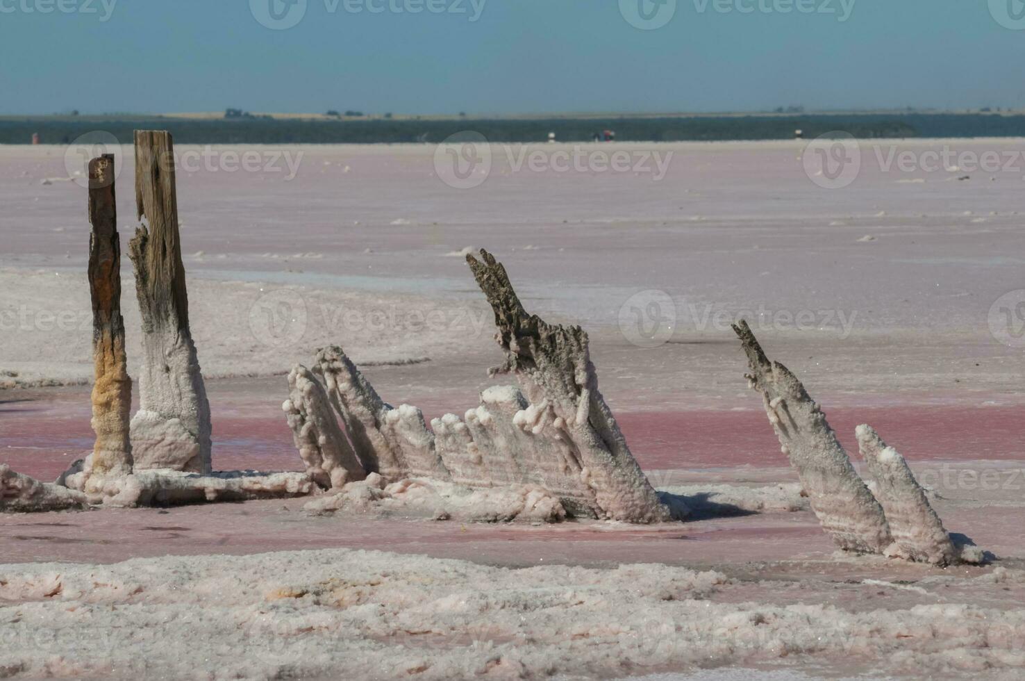 zout veld- in Argentinië foto