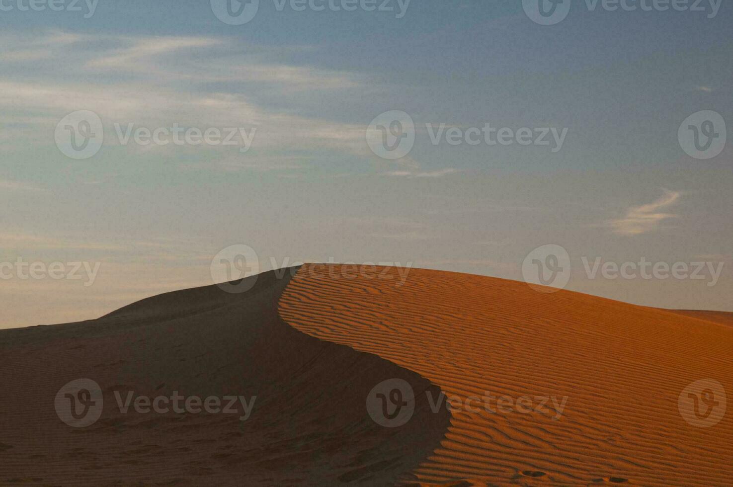zand duinen in pampa, Argentinië foto