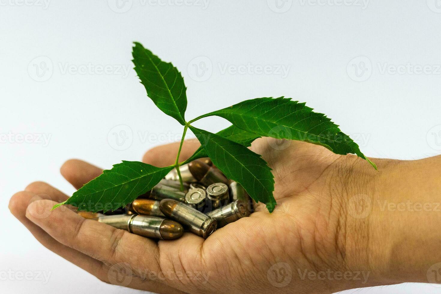 mensen Holding verschillend soorten van munitie bovenstaand zijn bladeren. wit achtergrond foto