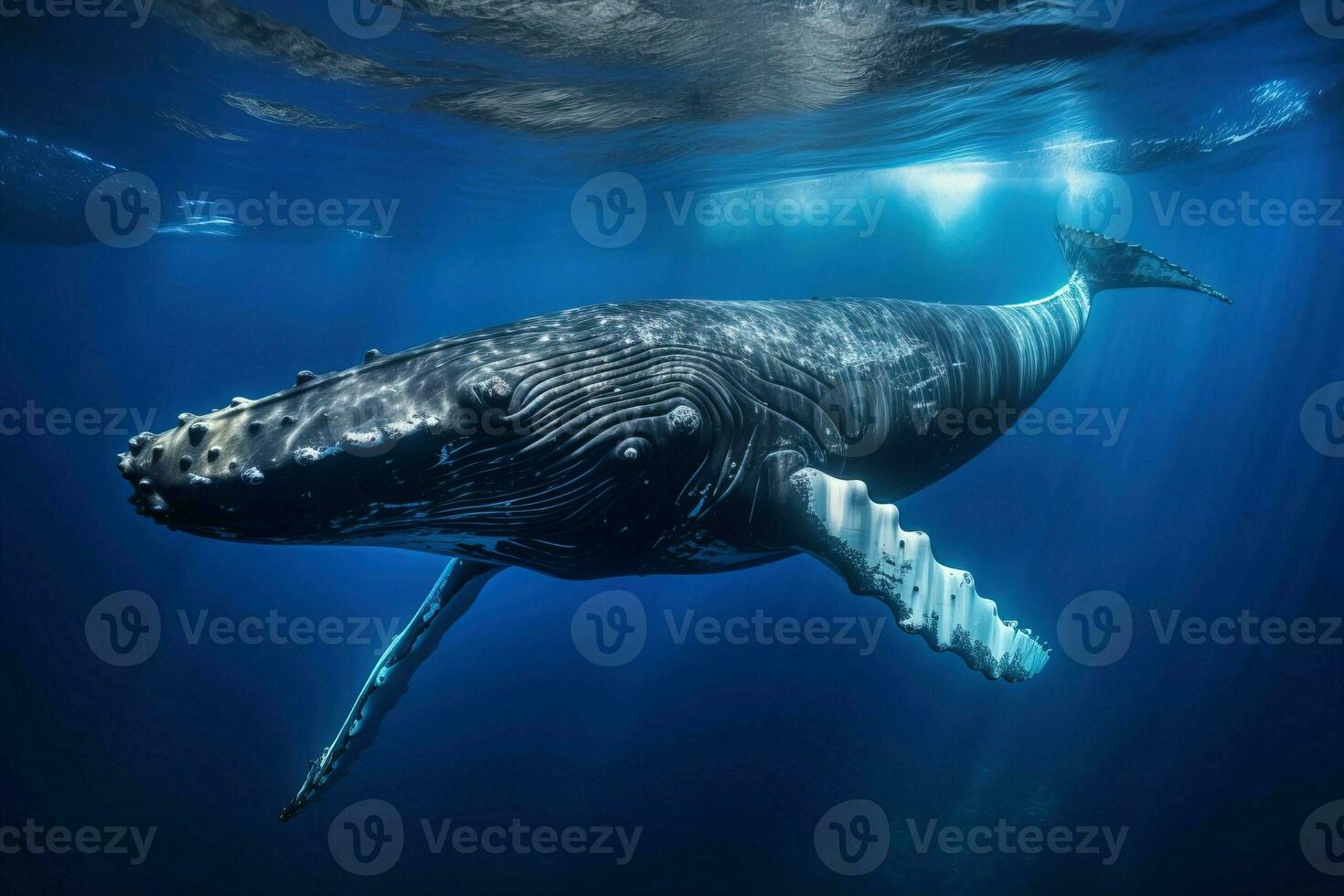 walvis gezicht naar beneden onder diep blauw oceaan water gegenereerd door ai foto